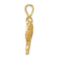 10K Satin Diamond-cut Lion Charm view 2