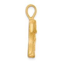 10K Yellow Gold Solid Diamond-cut Eagle Head Charm view 2