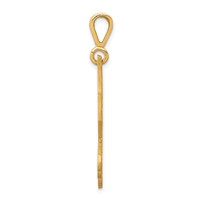 10K Yellow Gold Solid Satin Diamond-cut Eagle Charm view 2