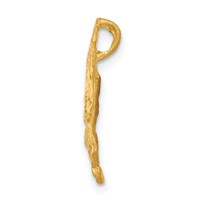 10K Yellow Gold Eagle Chain Slide view 2