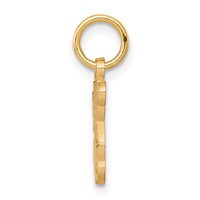 10K Teddy Bear Charm view 2