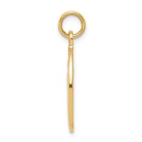 10K Yellow Gold Oval Miraculous Medal view 2