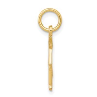 10K Yellow Gold Graduation Owl Charm view 2