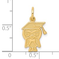 10K Yellow Gold Graduation Owl Charm view 3