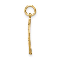10K Yellow Gold Diamond-cut Horseshoe Charm view 2