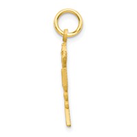 10K Yellow Gold Solid Registered Nurse RN Charm view 2