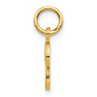 10K Yellow Gold Small Script Initial P Charm view 2