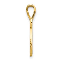 10K Yellow Gold Satin Diamond-cut Initial N Pendant view 2