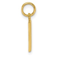 10K Yellow Gold Satin Diamond-cut Block Initial D Charm view 2