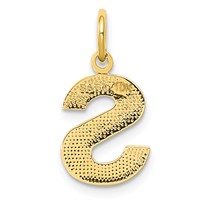 10K Satin Diamond-cut Block Initial S Charm view 3