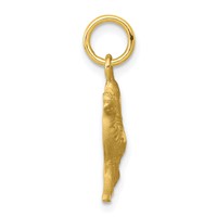 10K Yellow Gold Satin Diamond-cut Camel Charm view 2