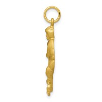 10K Yellow Gold Satin Diamond-cut Hockey Player Charm view 2