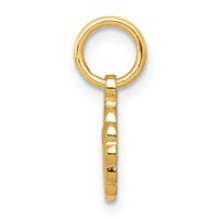 10K Yellow Gold Solid Satin Polished Small Our Lady of Sorrows Disc Pendant view 2