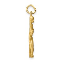 10K Yellow Gold Satin Diamond-cut Solid Runner Charm view 2