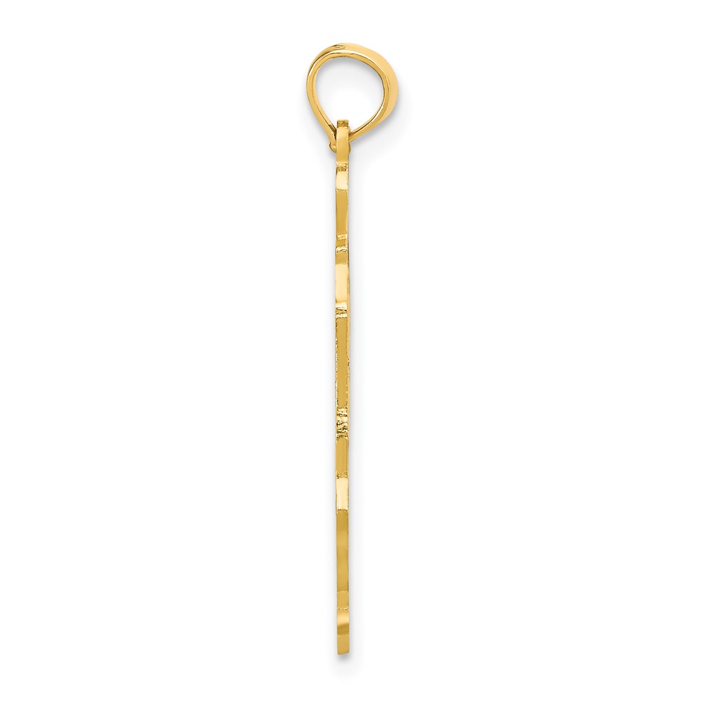 10K Solid Illinois State Pendant (10D1161)