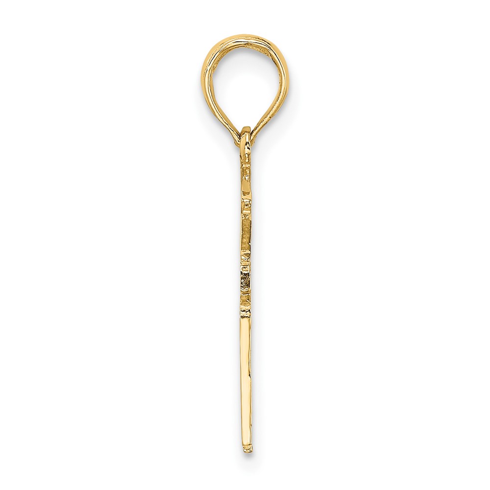 10k Registered Nurse Charm (10D1234)