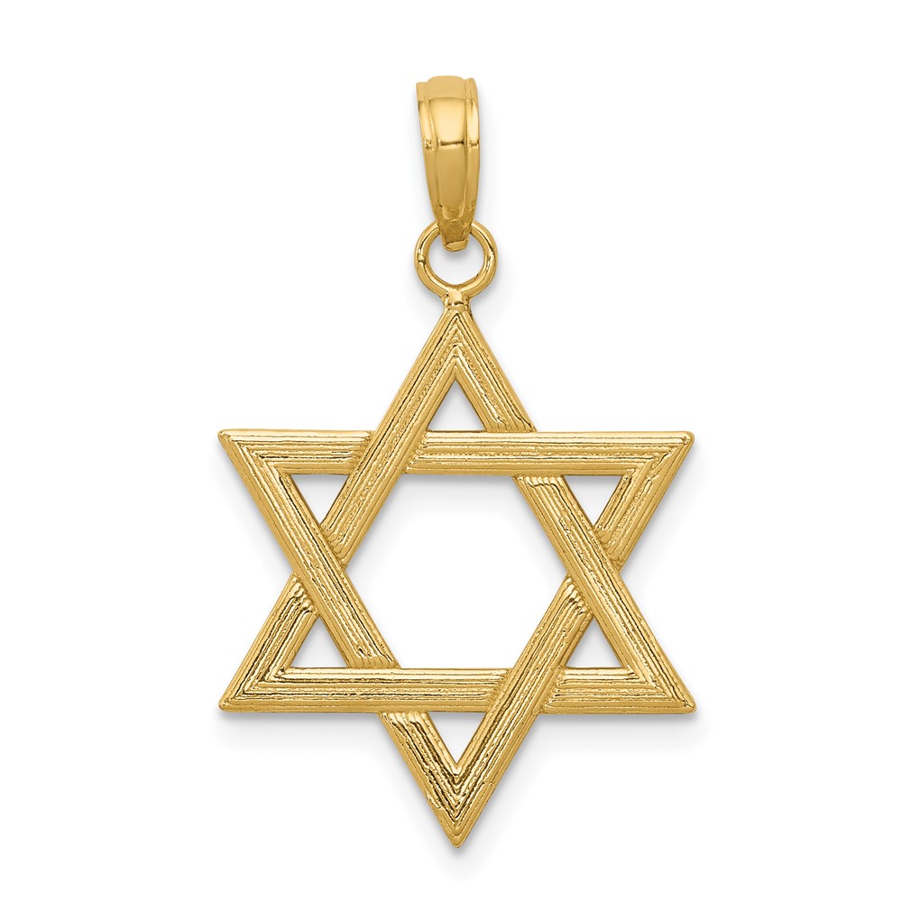 10K Polished Star of David Pendant (10D1696)