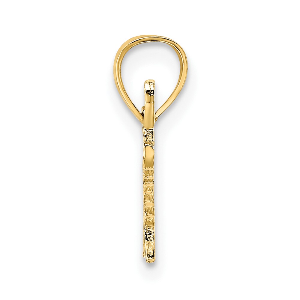10K Polished and Textured SPECIAL Pendant (10D3881)