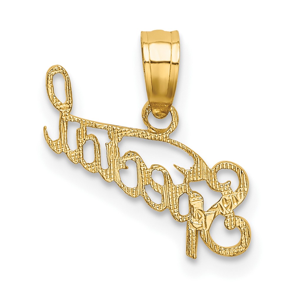 10K Polished and Textured SPECIAL Pendant (10D3881)