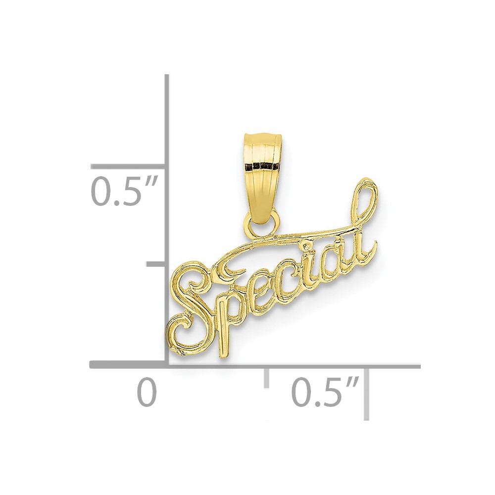 10K Polished and Textured SPECIAL Pendant (10D3881)