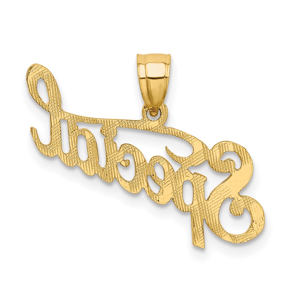 10K Polished and Textured SPECIAL Pendant (10D3886)