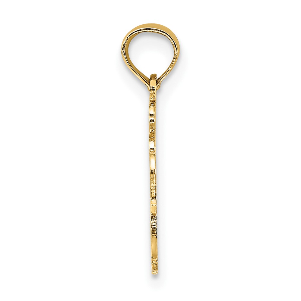10K 100% AQUARIUS Zodiac Charm (10D4064)