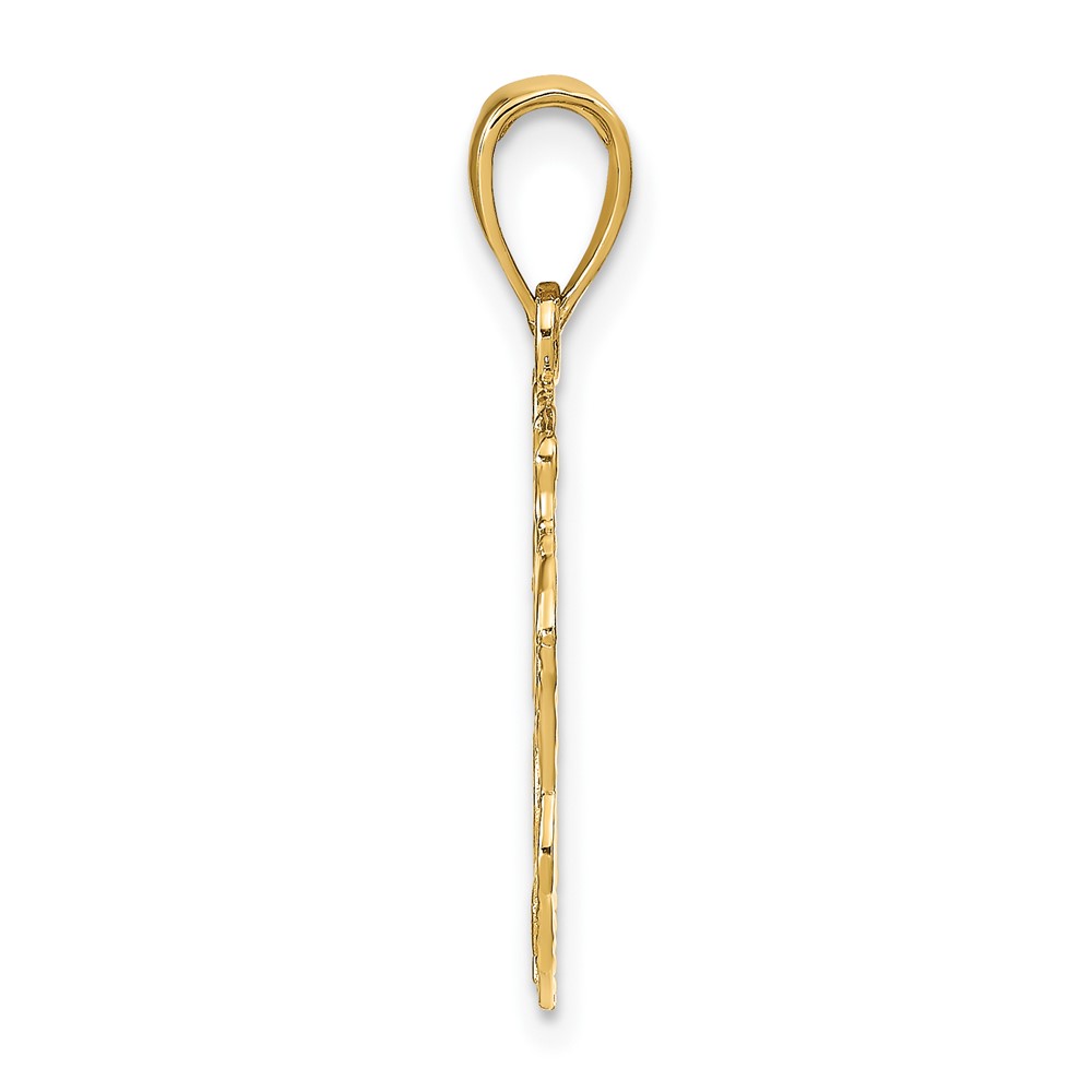 10K Lion Head Pendant (10D4225)
