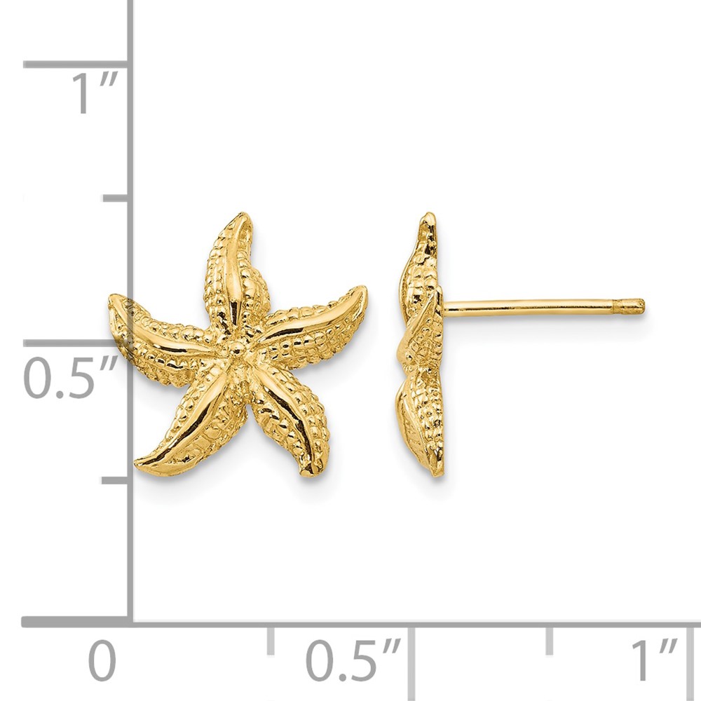 10k Starfish Earrings (10E908)