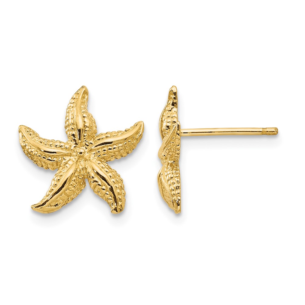 10k Starfish Earrings (10E908)
