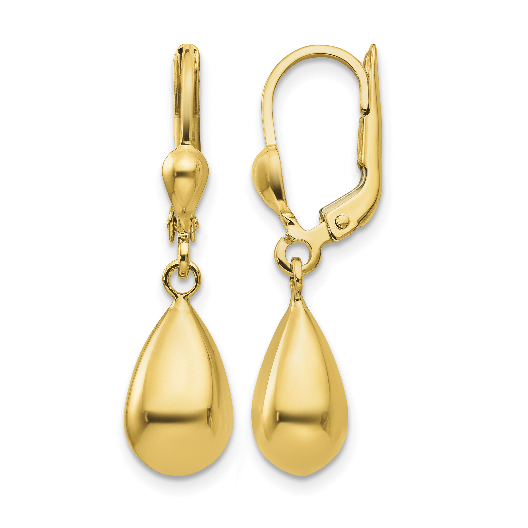 10k Polished Fancy Dangle Leverback Earrings (10H557)