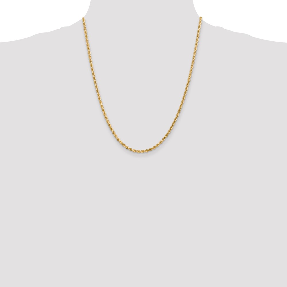 10k 3mm Diamond-cut Rope Chain (10K023-22)