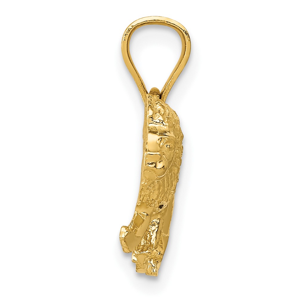 10K Diamond-cut Lion Pendant (10K3345)