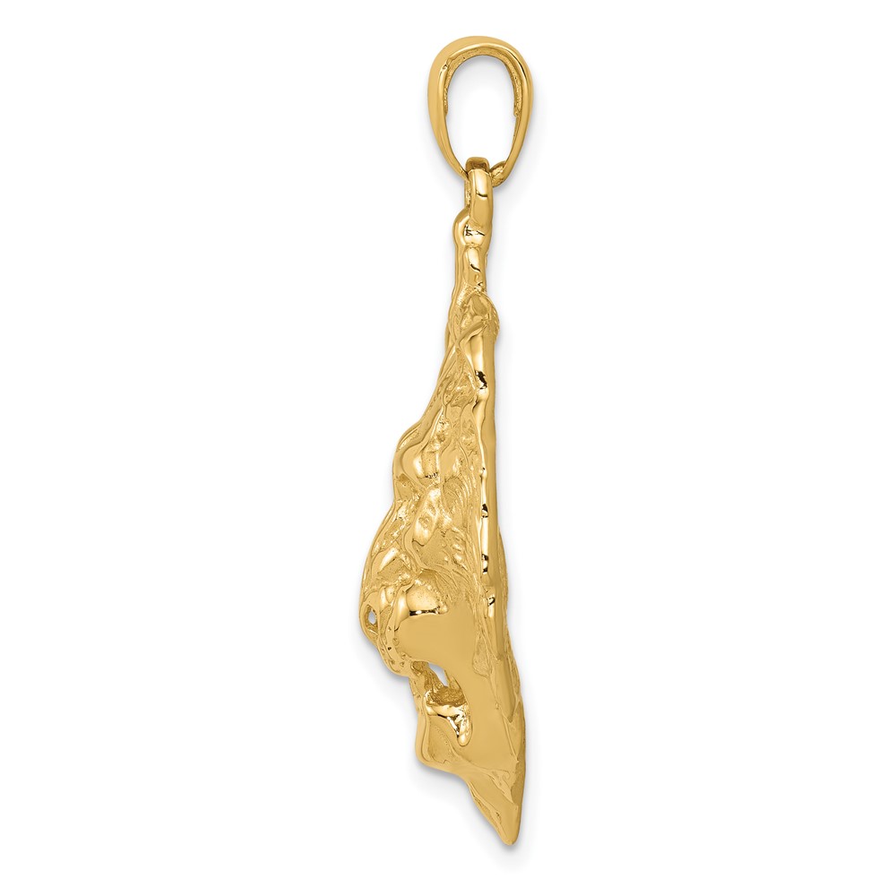 10K Lion Charm (10K4868)