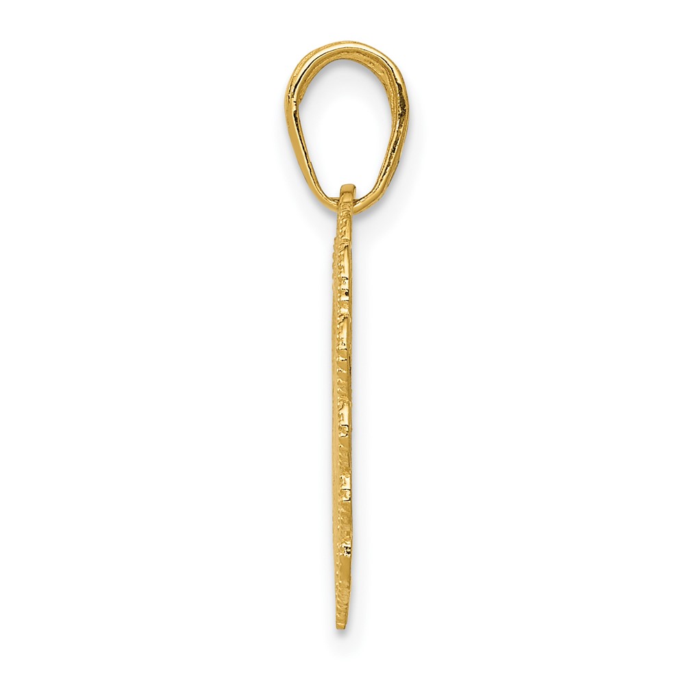 10k Registered Nurse Heart Pendant (10K4932)