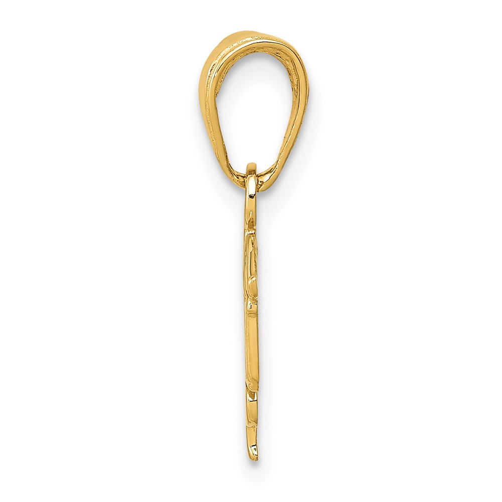 10K LPN Symbol Pendant (10K4933)