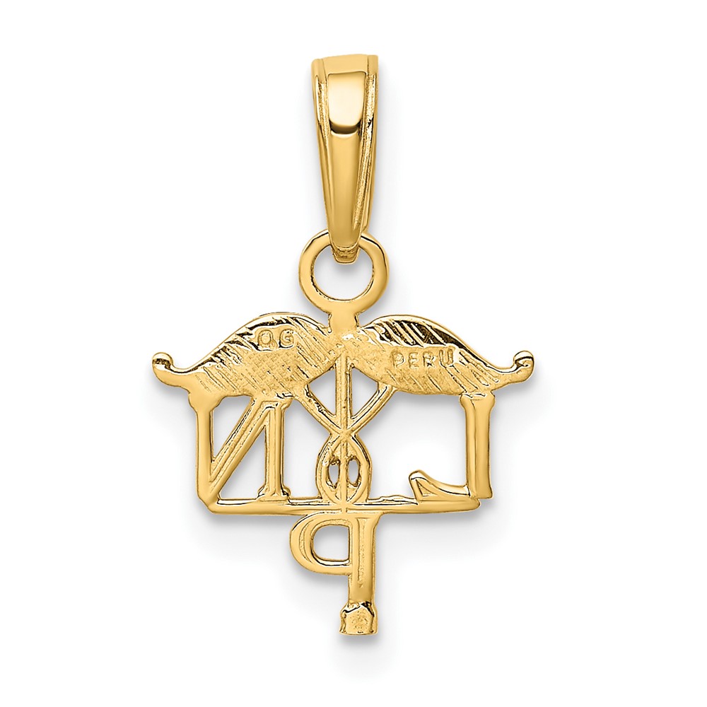10K LPN Symbol Pendant (10K4933)