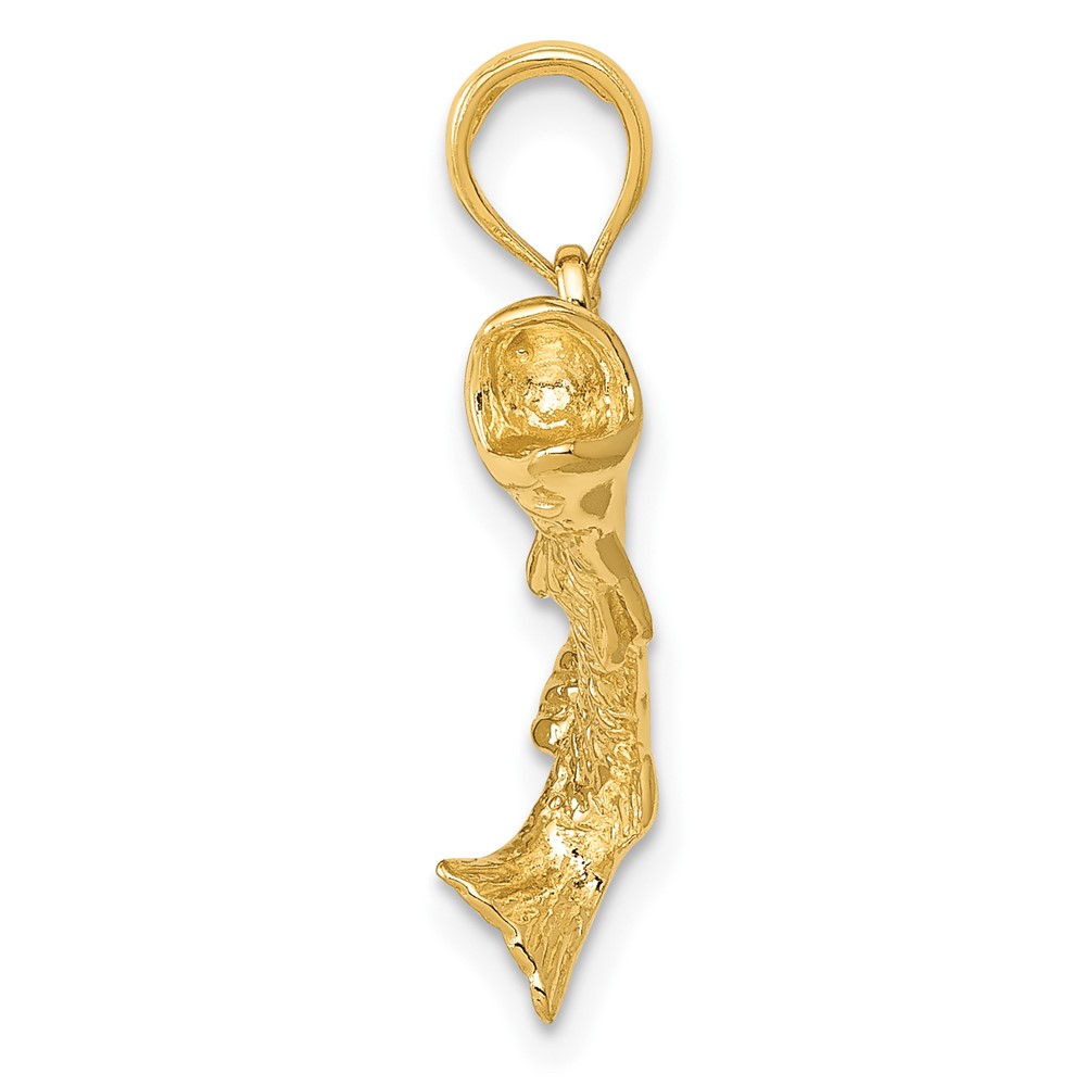 10K Gold Polished & Textured Bass Fish Pendant (10K5362)