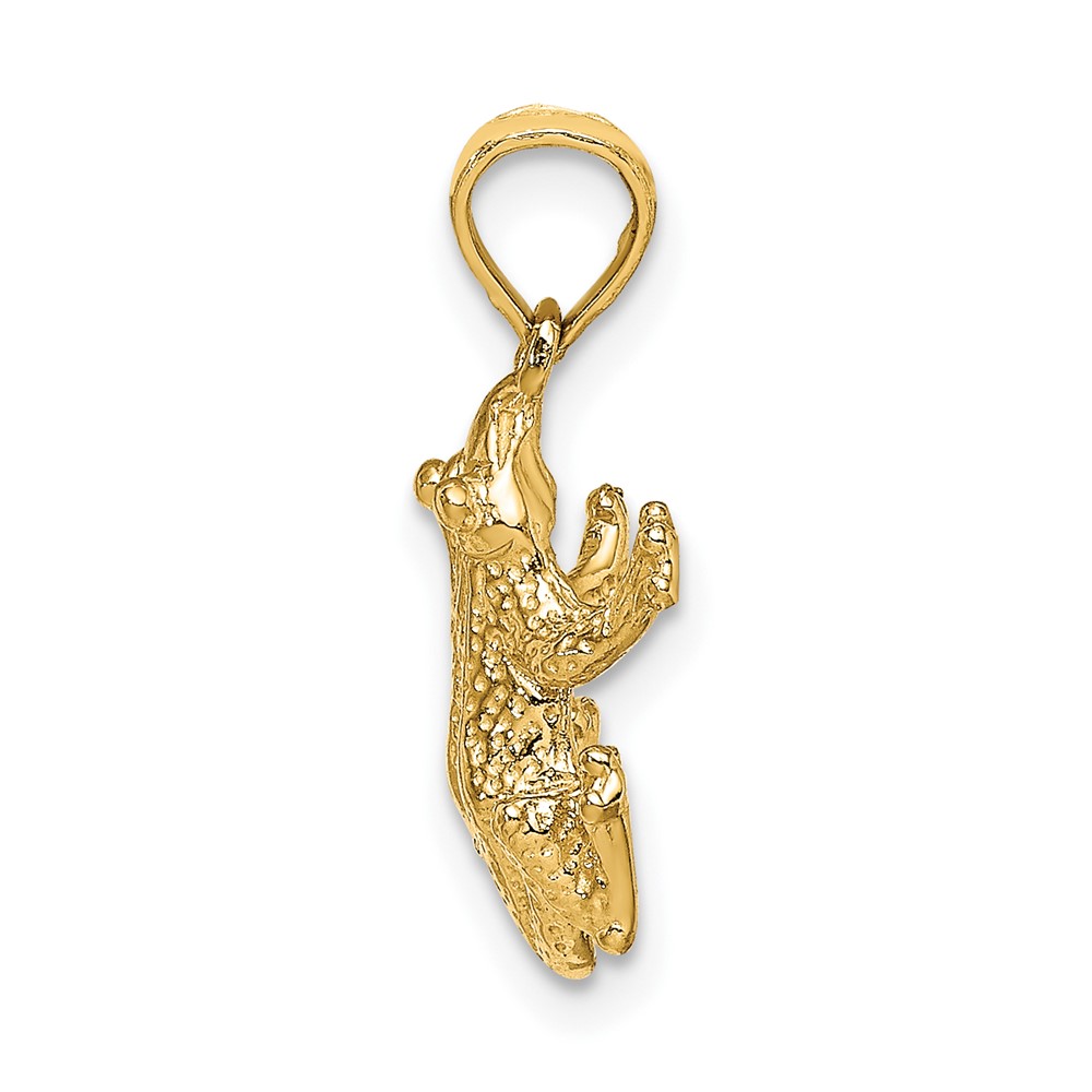 10k Textured Top View FROG Charm (10K6517)