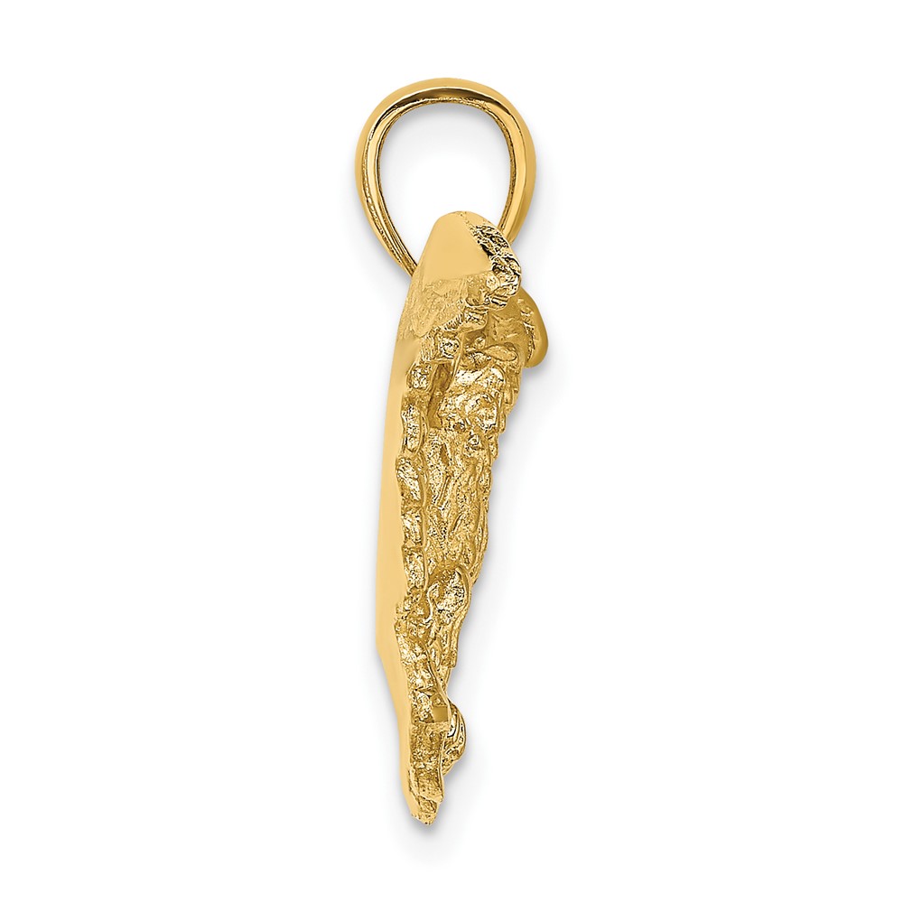 10K Eagle W/ Wings Spread Charm (10K6525)