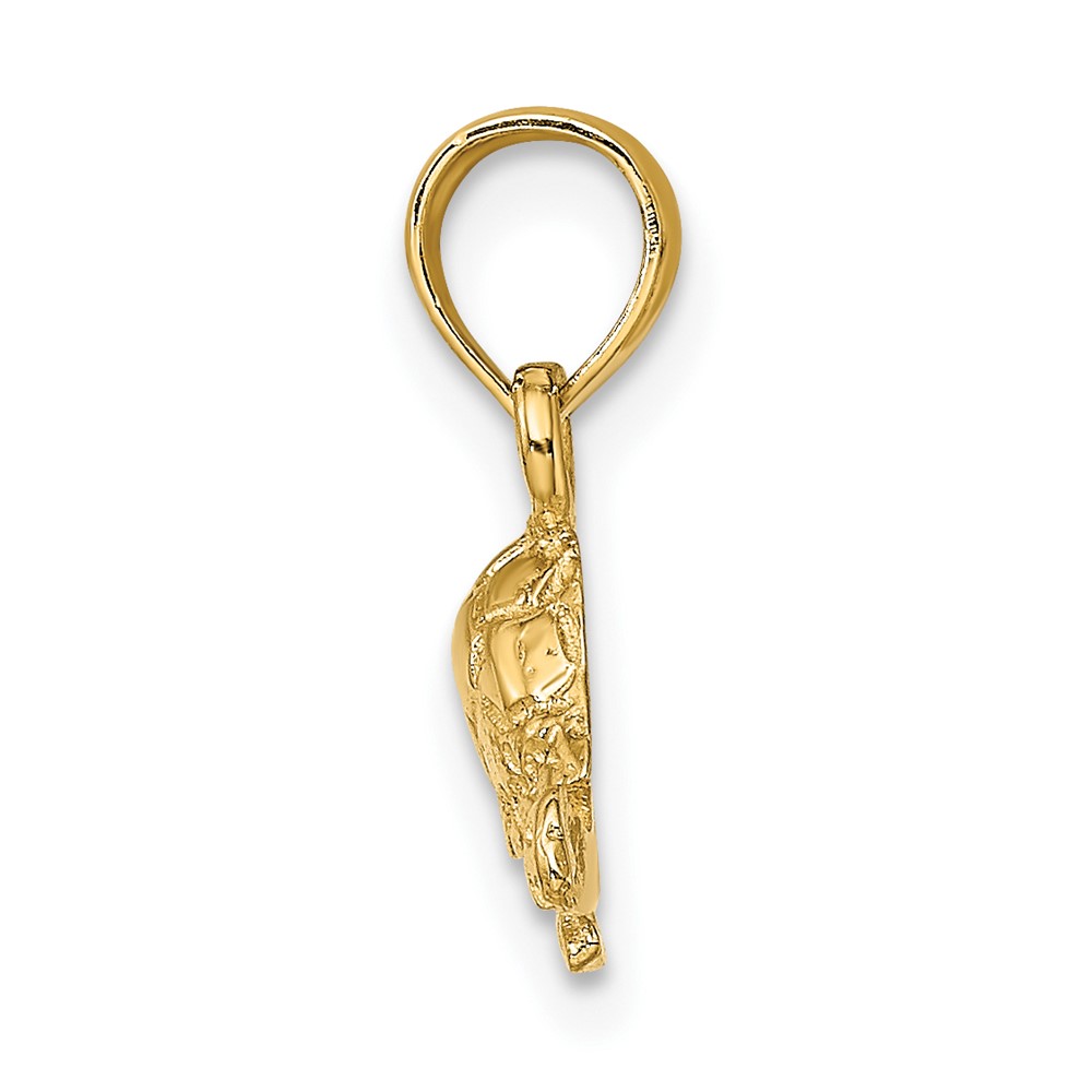 10K Polished and Engraved Mini Turtle Charm (10K6529)