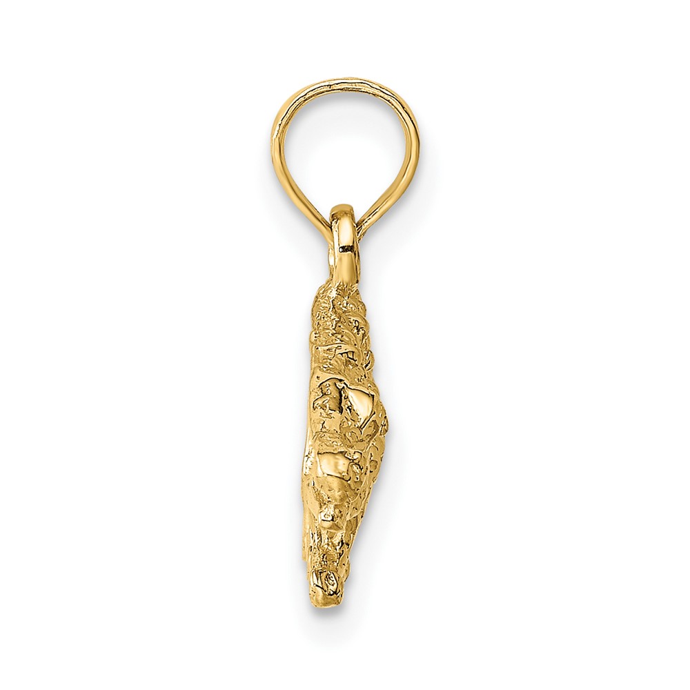 10K 2-D Textured Alligator Charm (10K6559)