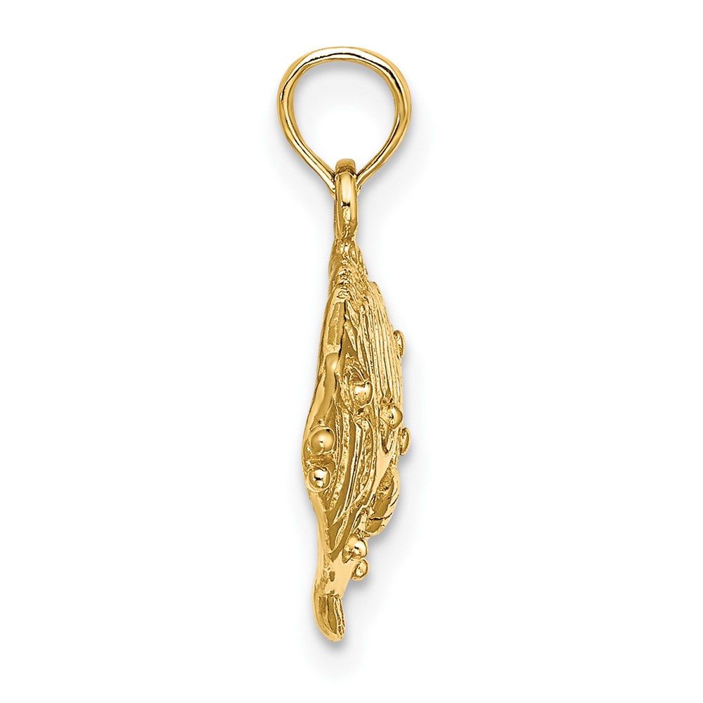 10K 2-D Polished Engraved Fish Charm (10K7423)