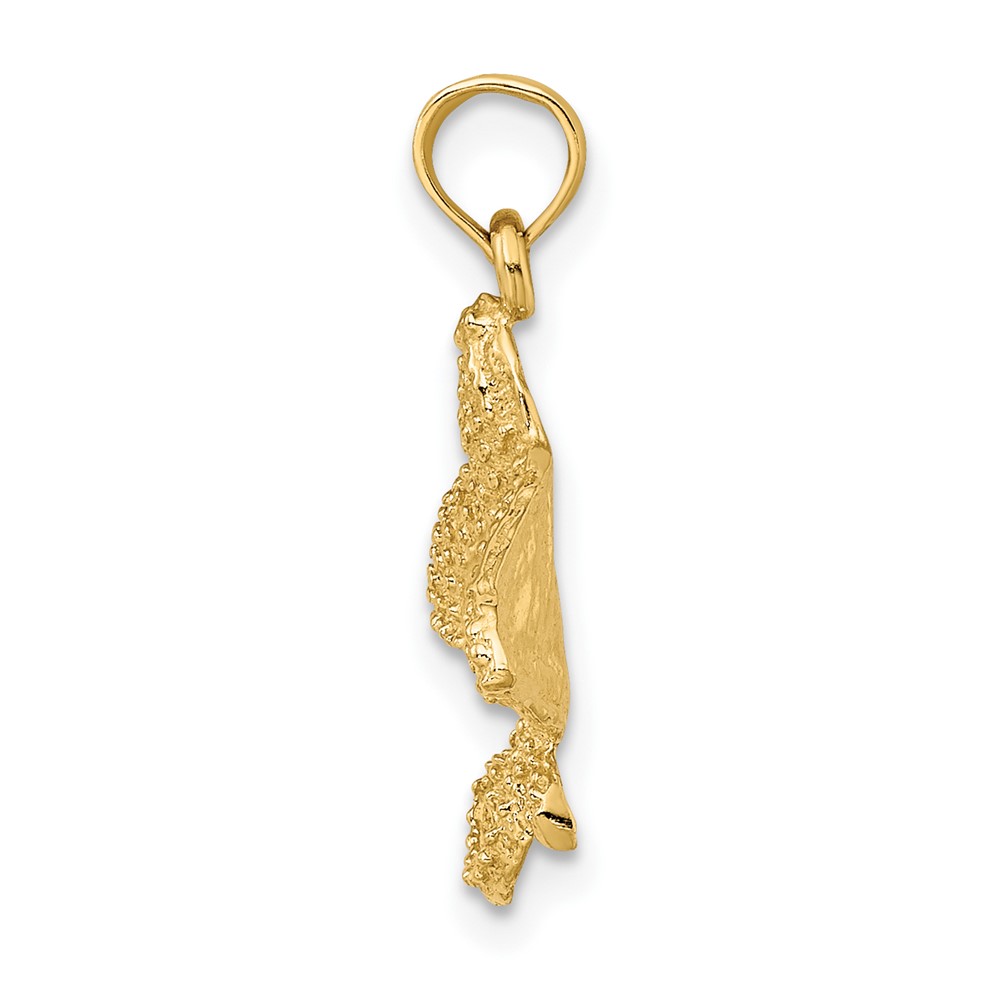 10K Textured Spotted Eagle Ray Charm (10K7487)