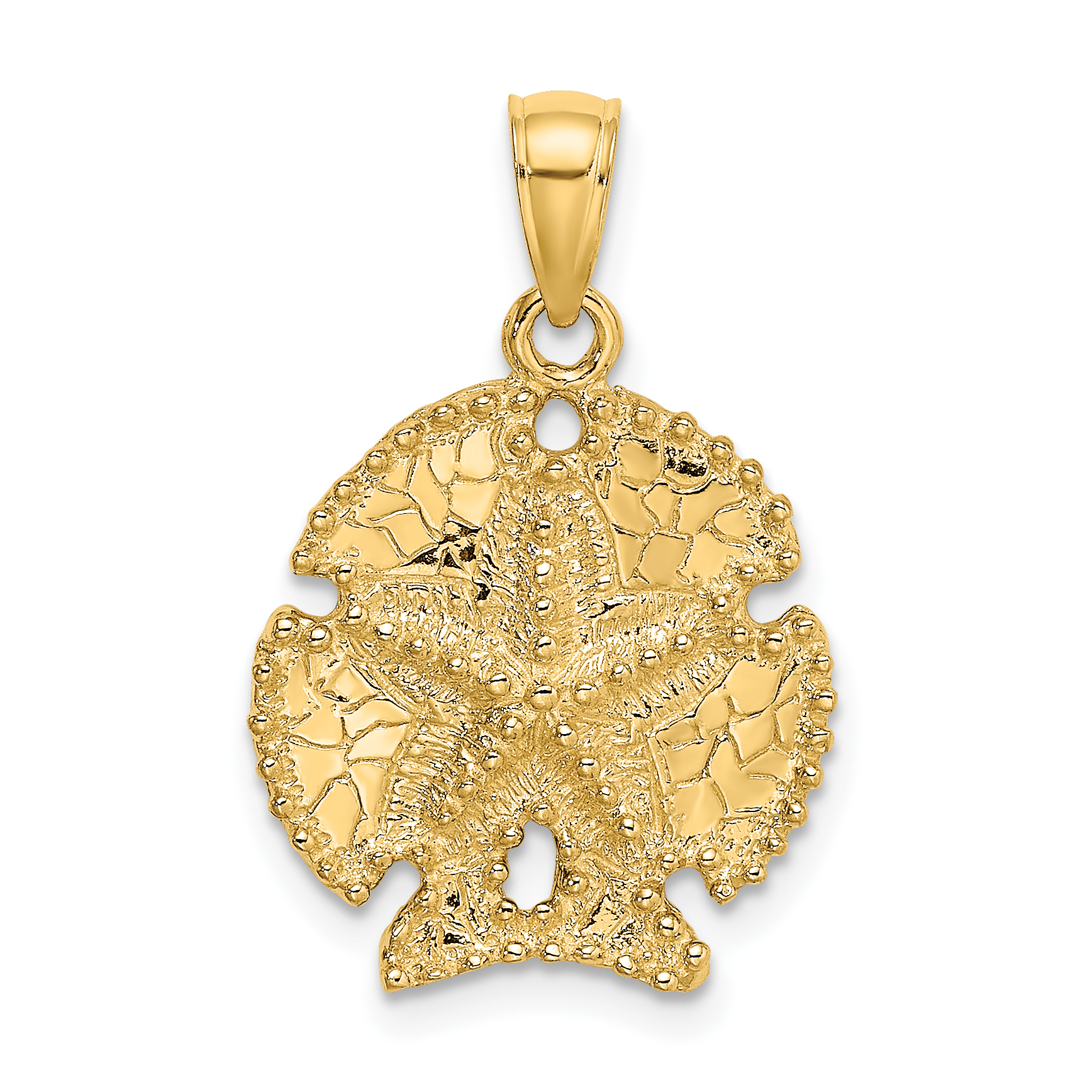 10K 2-D Sand Dollar W/ Star Charm (10K7638)