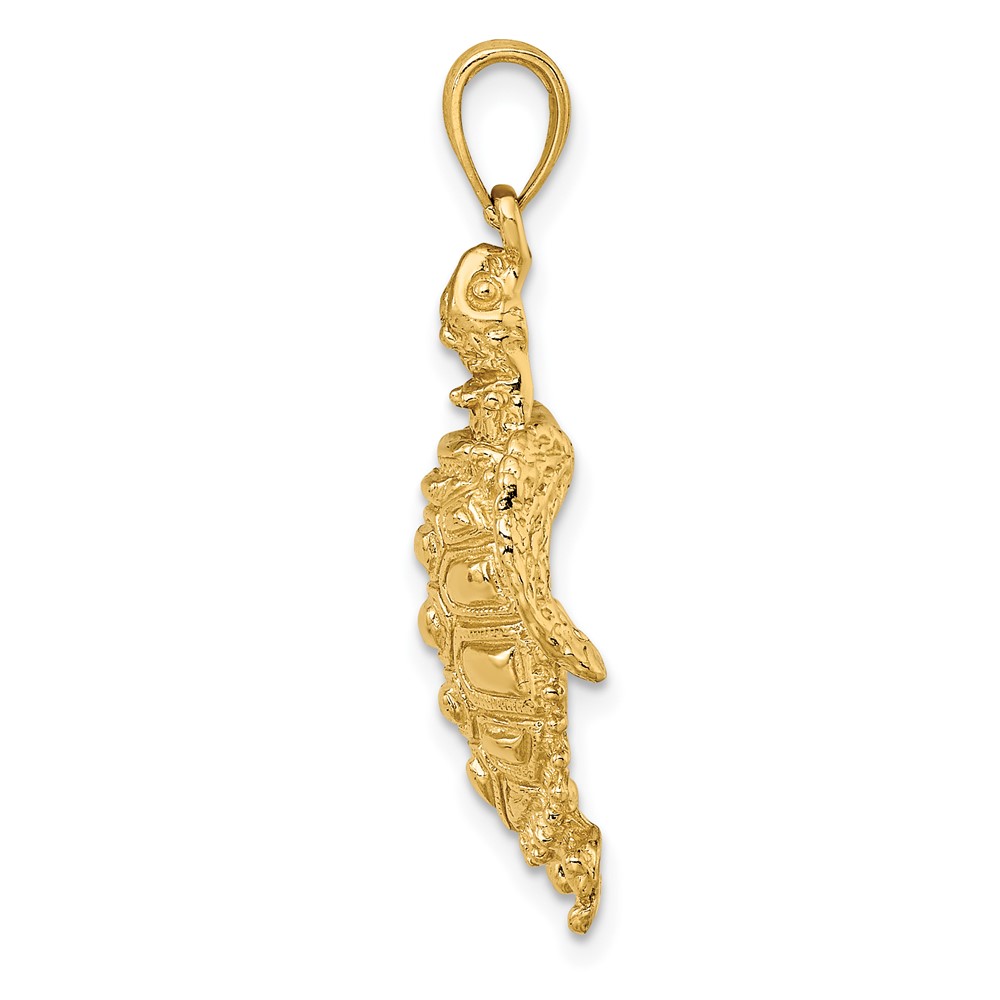 10K 2-D Sea Turtle W/ Spiny Shell Charm (10K7642)