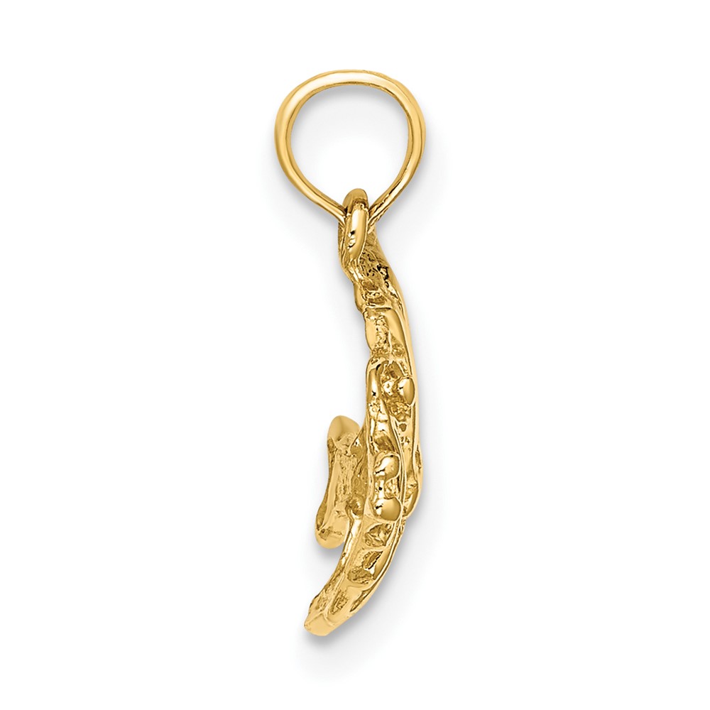 10K Polished Engraved FISH Charm (10K7669)
