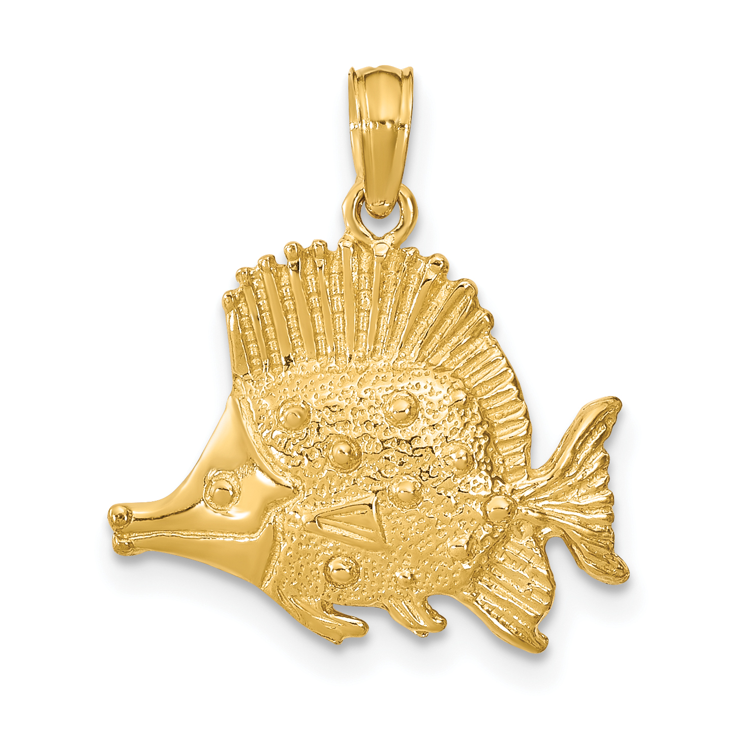 10K Polished Engraved Fish Charm (10K7684)
