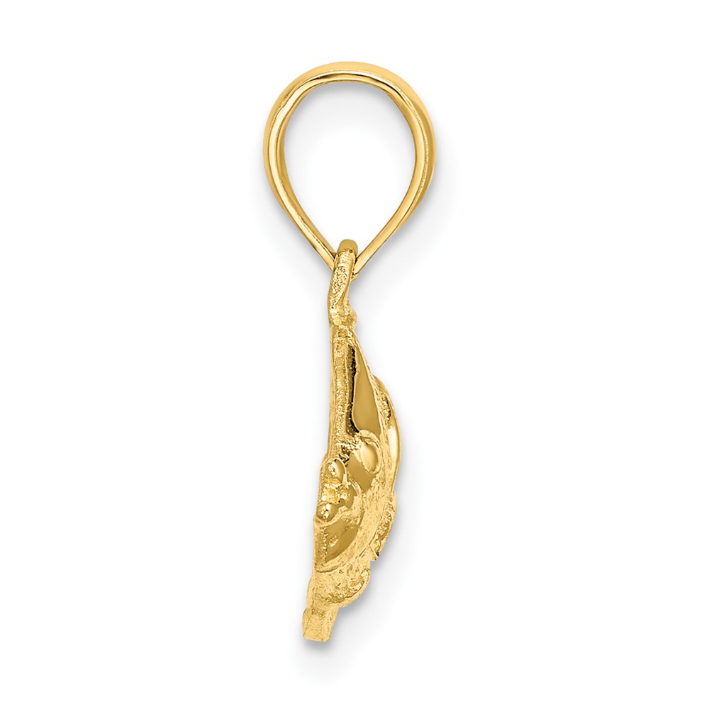 10K Polished Textured Fish Charm (10K7685)