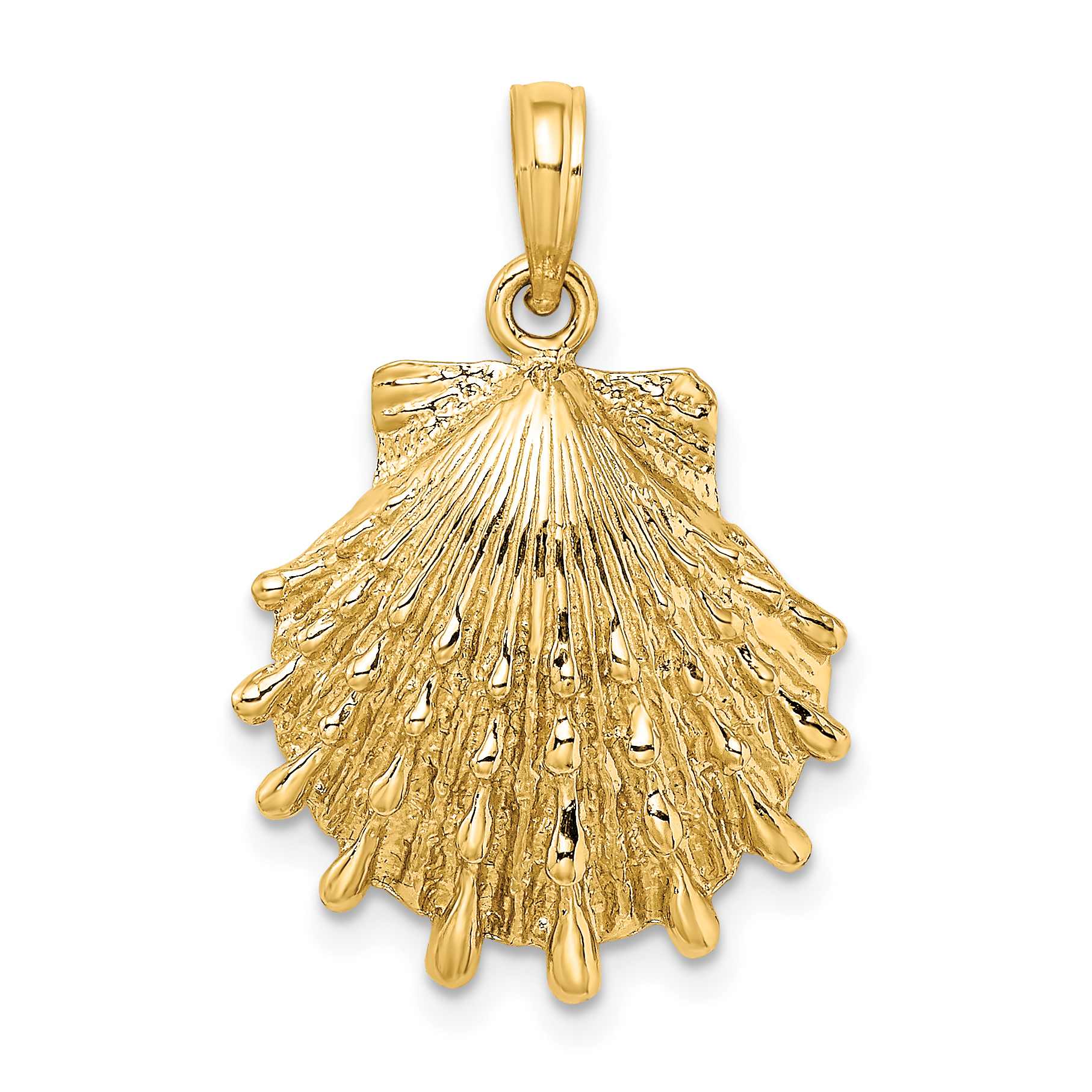 10K Lions Paw Shell Charm (10K7965)