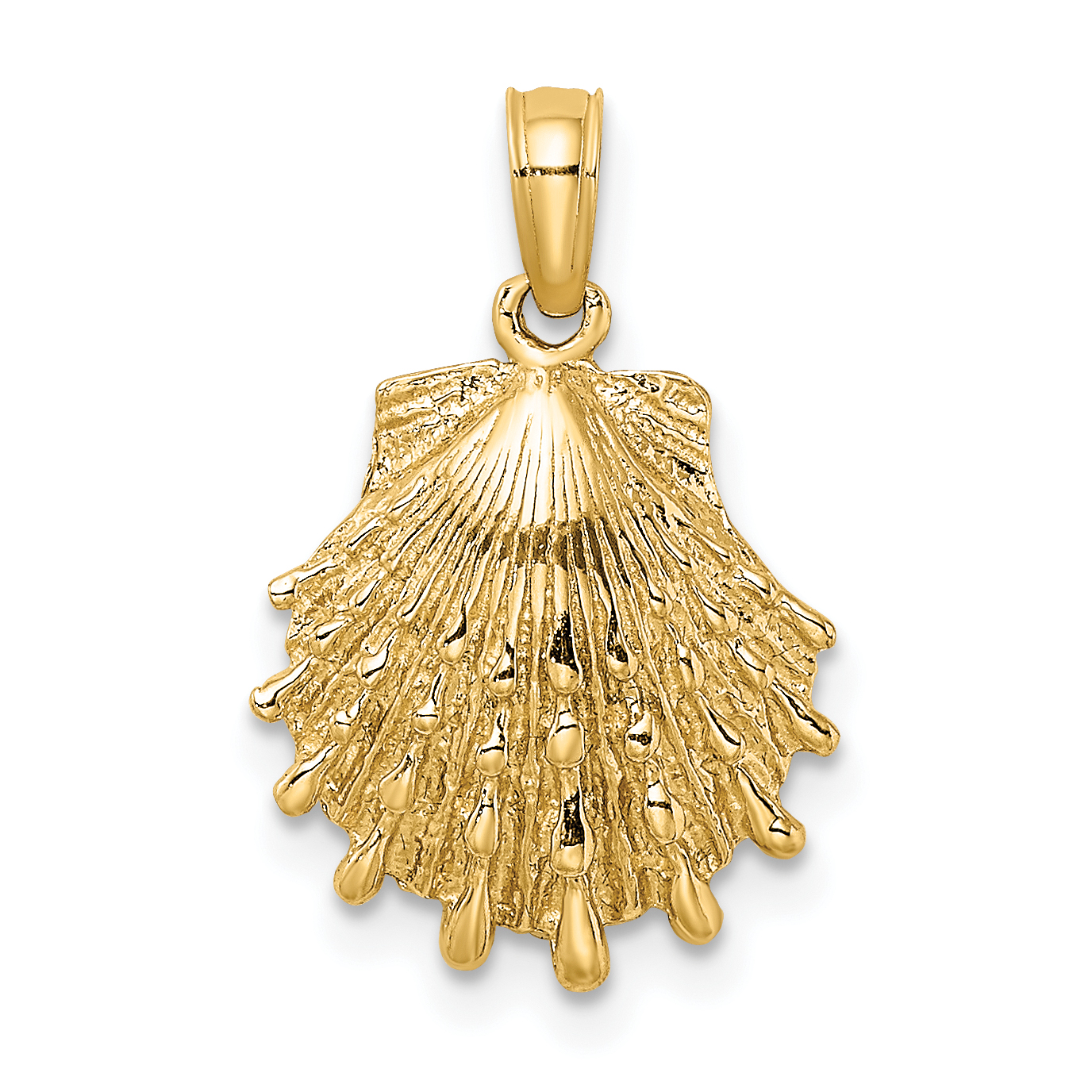 10K Lion's Paw Shell Charm (10K8126)